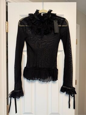 Sheer Black Ruffle-Trim Long Sleeve Top